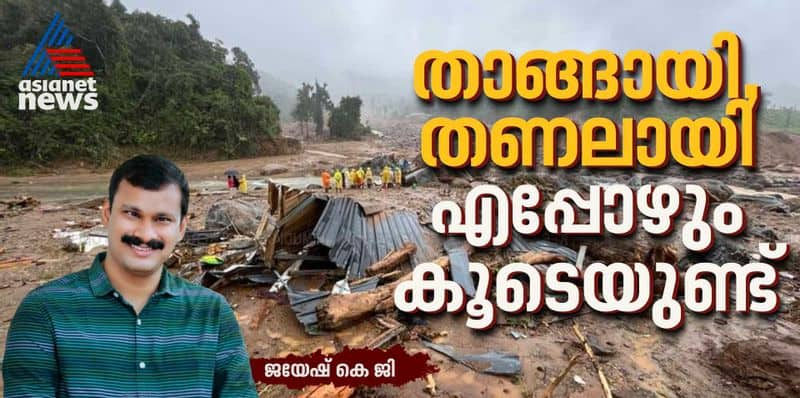 mental health team to provide psychosocial support to wayanad landslide survivors