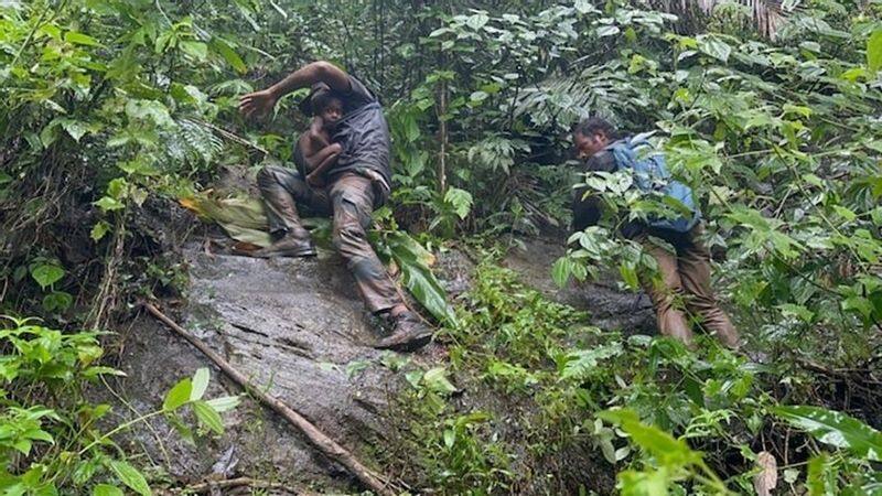 Wayanad Landslides: Kerala Officials Climb Hill For Eight Hours To Rescue Stranded Tribal Family sgb