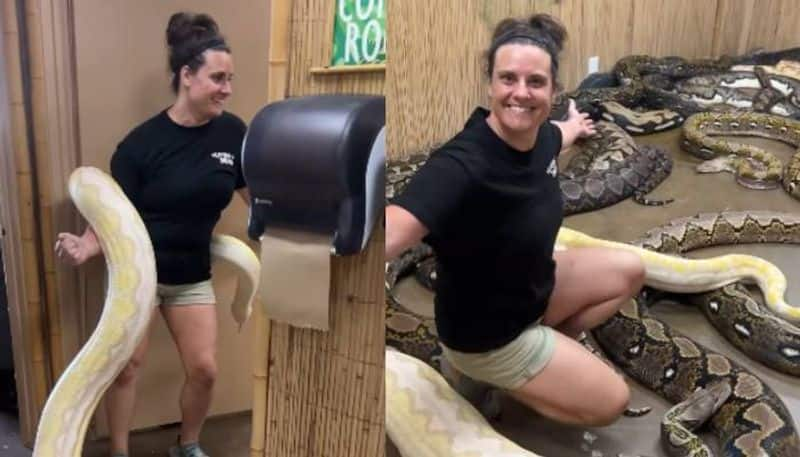 woman carrying massive python and open secret room full of pythons viral video 