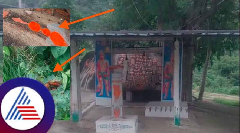 Miscreants tried to dig a rock in the temple for treasure at tumakuru rav