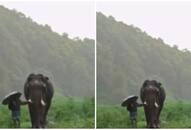 Viral Video: Watch this touching monsoon moment between an Elephant and its Mahout NTI