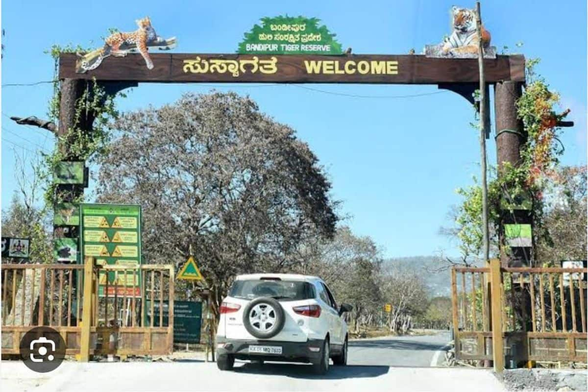 Increase in forest menace: Elephant task force to Bandipur snr