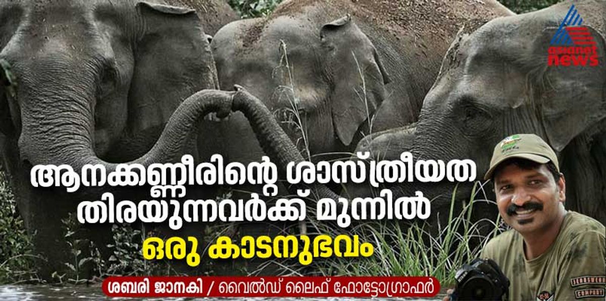 Elephant tears in the face of tragedy and malayalees scientific temper by sabari janaki 