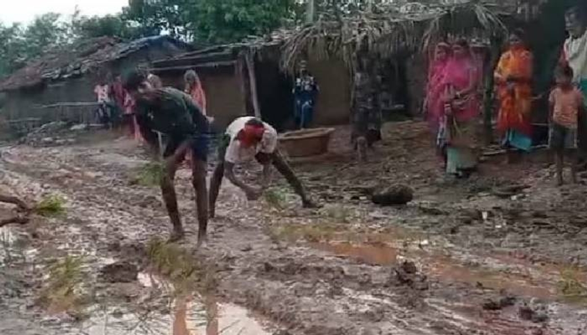 villagers turn road into paddy field in Bihar Jamui 