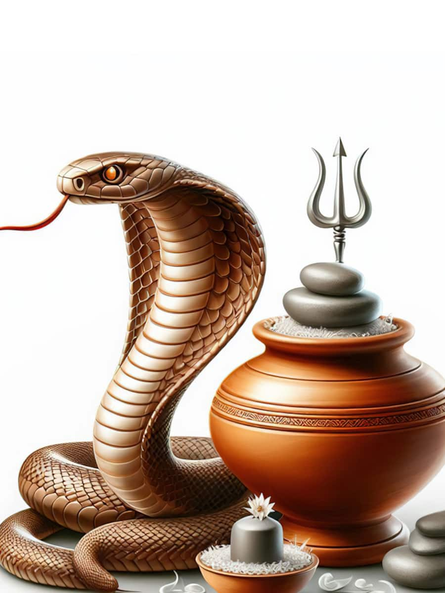 Nag Panchami 2024 : स्वप्नात वारंवार साप दिसण्याचा काय होतो अर्थ? - nag ...