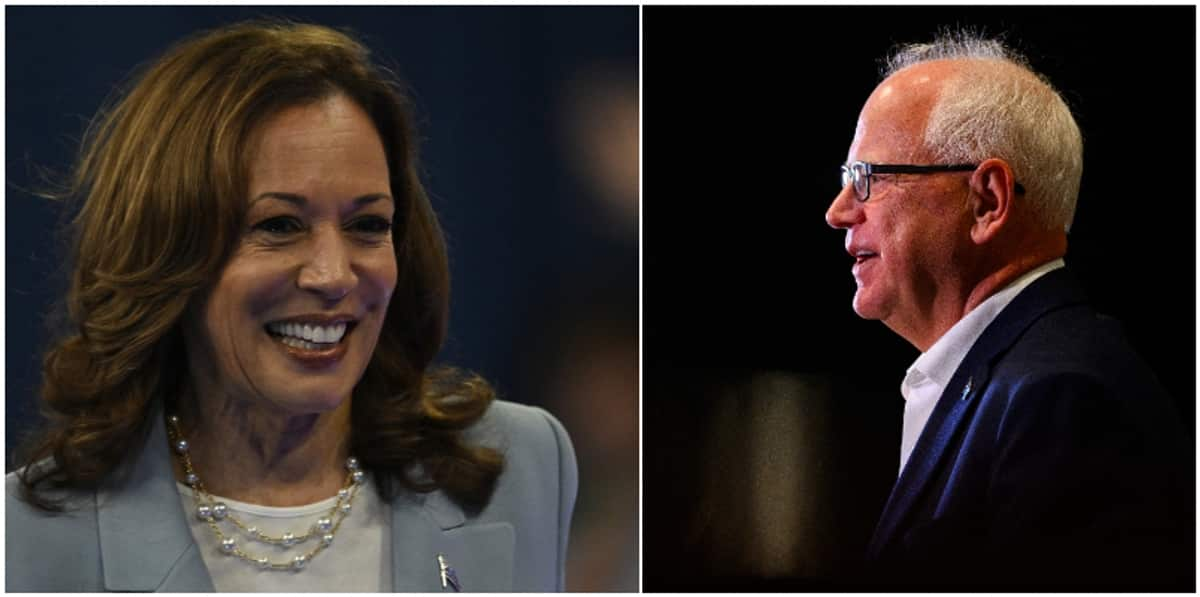 US Election 2024 live updates Kamala Harris picks Minnesota Govrnor Tim Walz as her running mate