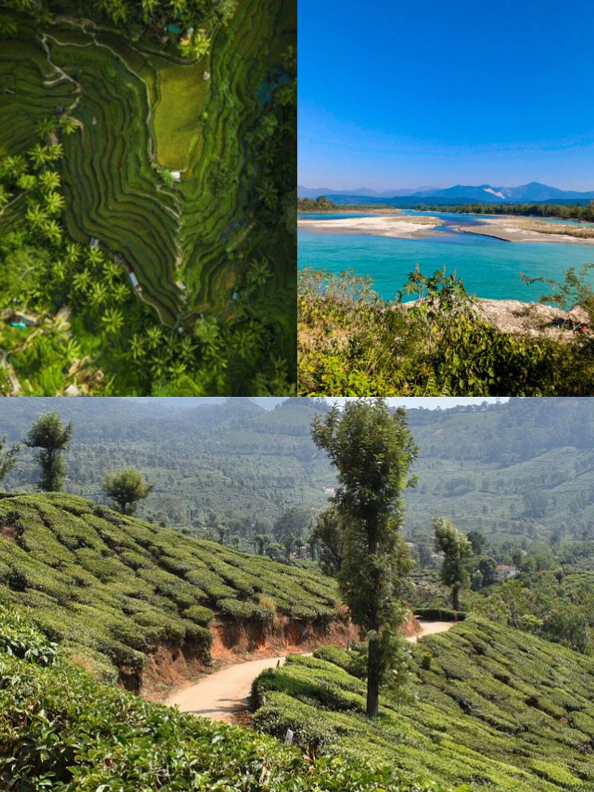 Places to Retire: Coorg to Pondicherry; consider THESE 7 places ATG