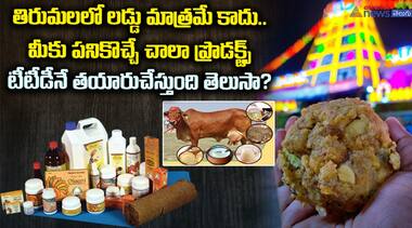 తిరుమలలో లడ్డు మాత్రమే కాదు.. మీకు పనికొచ్చే చాలా ప్రోడక్ట్స్ TTDనే తయారుచేస్తుంది తెలుసా?