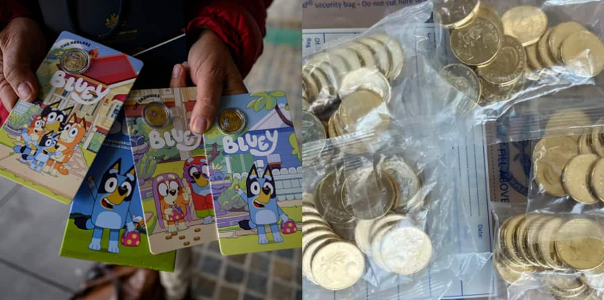 47-year-old was arrested over theft of Bluey coins worth crores 