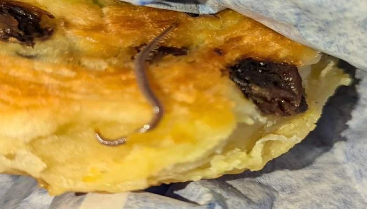 centipede in a pastry post in reddit viral