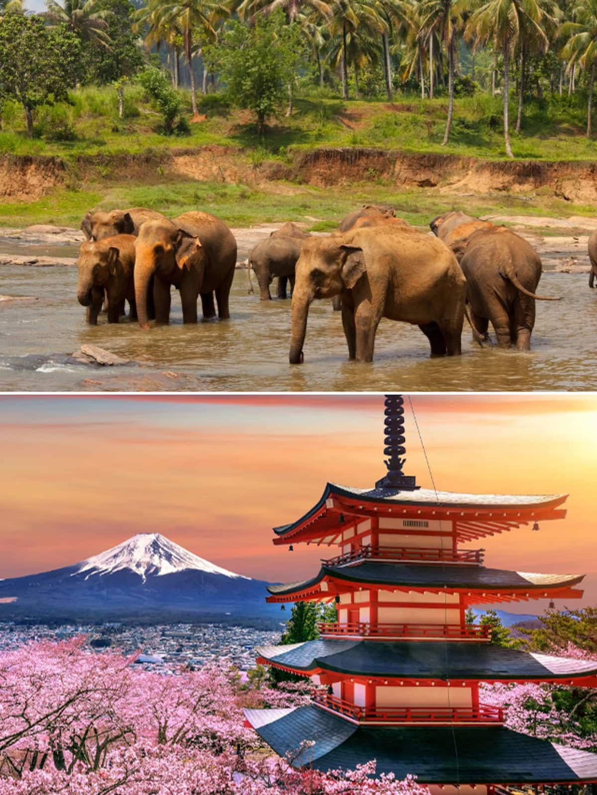 Sri Lanka to Japan: 7 best Asian countries you must visit with family gcw