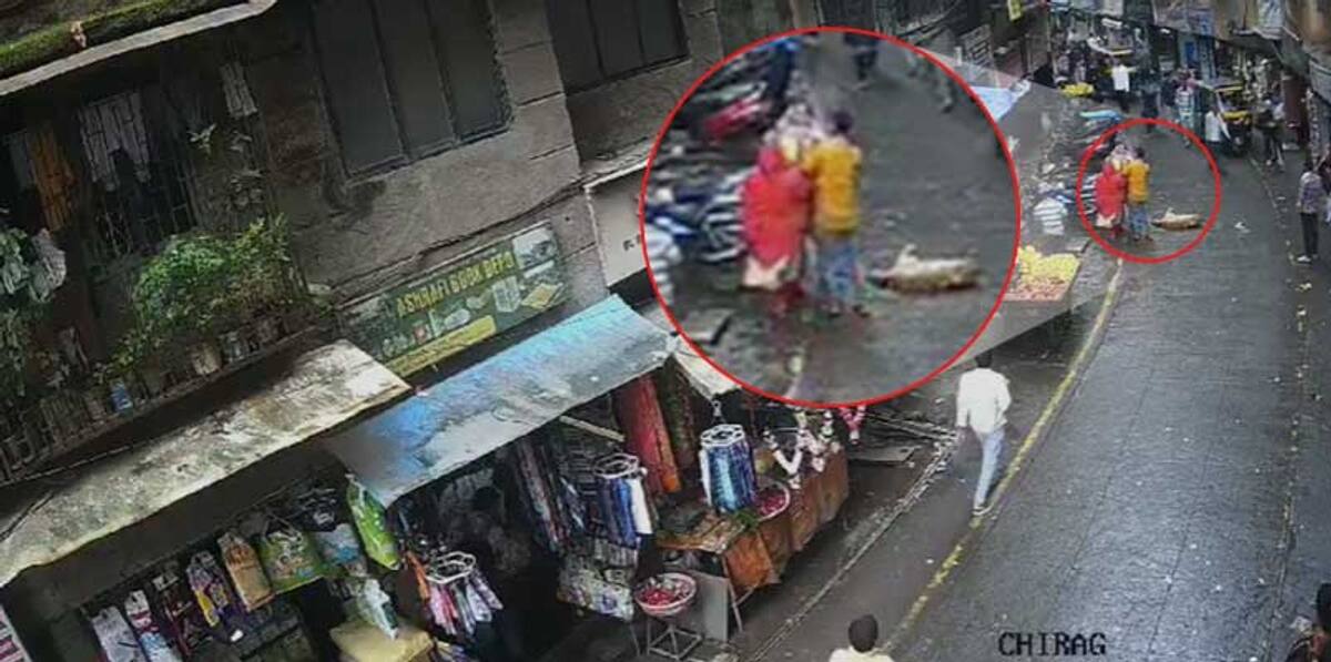 Three-year-old Girl Walking With Her Mother Dies After Dog Falls On Her In Maharashtra