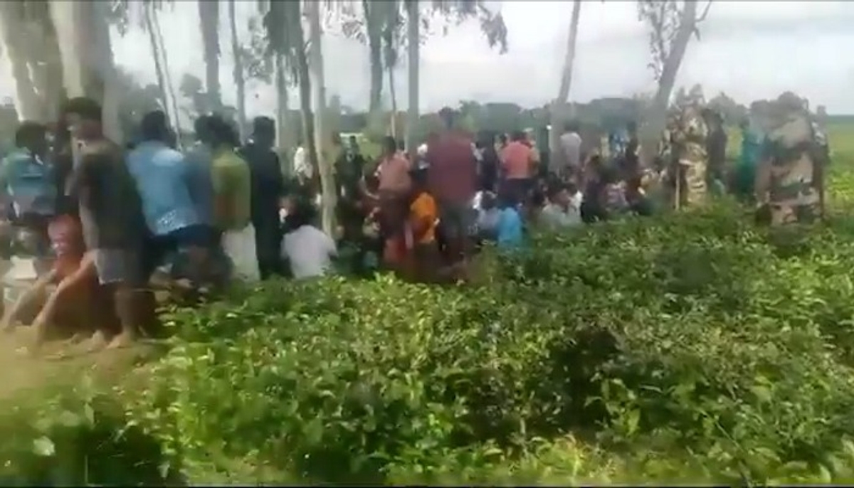 BSF foils major infiltration attempt by over 600 Bangladeshi nationals at Manikganj border amid unrest (WATCH) snt