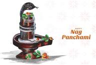 Nag Panchami 2024: Understanding the significance of milk during the festival NTI