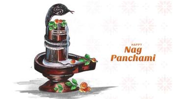 Nag Panchami 2024: Understanding the significance of milk during the festival NTI