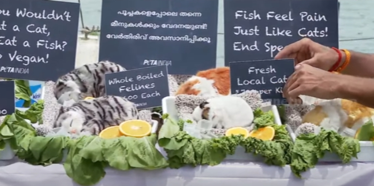 symbolic cat meat sale protest by PETA in kochi marine drive as part of international cat day