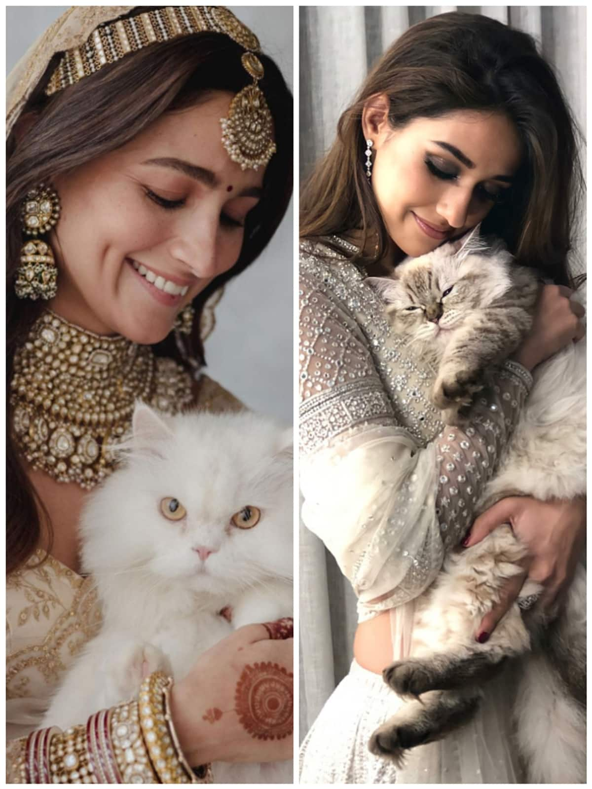 Alia Bhatt to Richa Chadha: 5 Bollywood actresses who are cat moms RTM