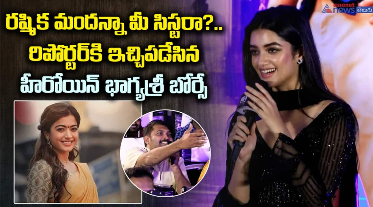 Mr Bachan Heroine Bhagyashri Borse About Rashmika Mandanna