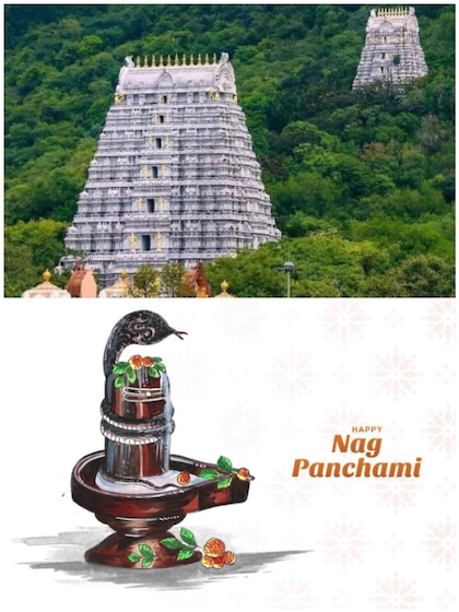 Nag Panchami 2024: Must-visit snake temples in India