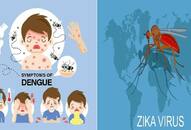 zika virus vs dengue difference symptoms prevention