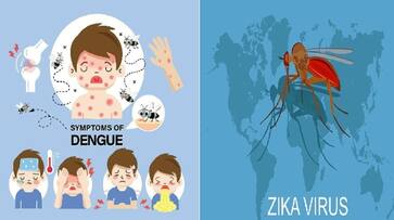 zika virus vs dengue difference symptoms prevention