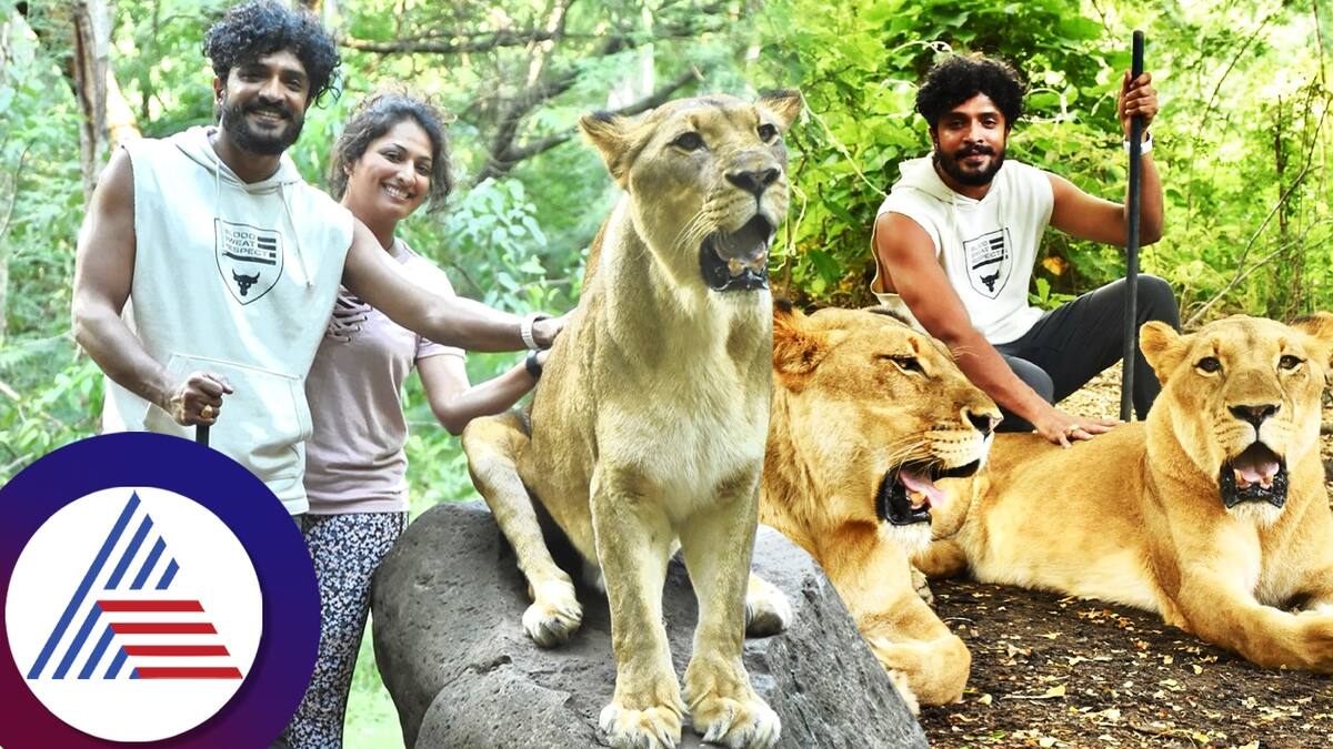 Haripriya and Vashistha Simha give pose with lioness pav