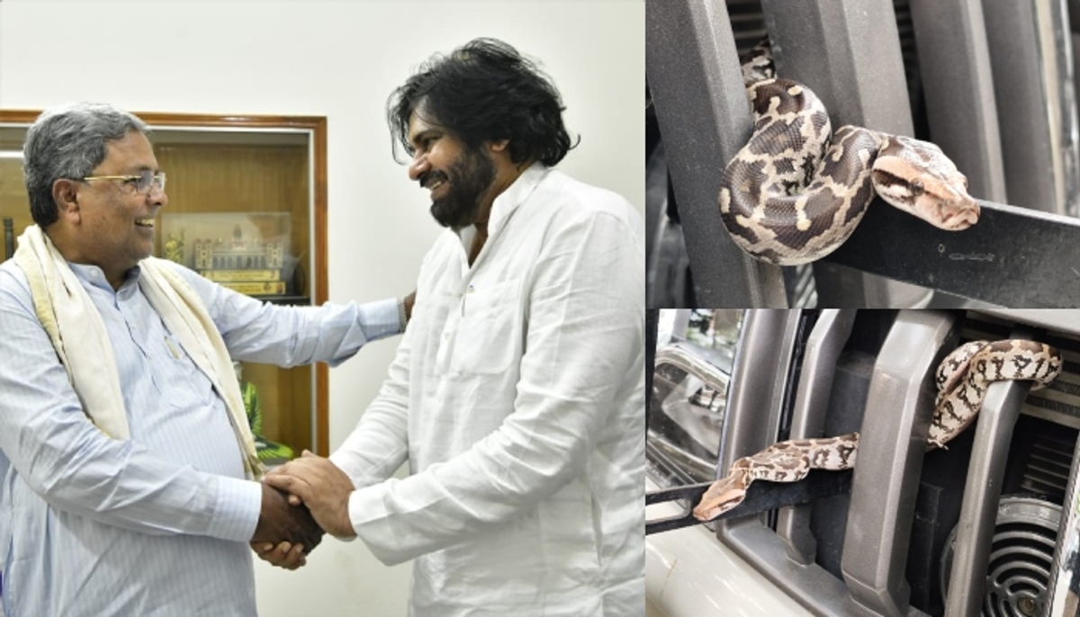 Andhra Pradesh Deputy CM Pawan Kalyan who came to Karnataka spotted python in convoy vehicle sat