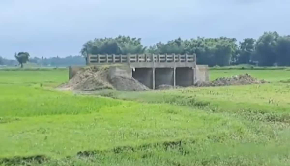 high rise bridge in the middle of agriculture field but no road around to see 