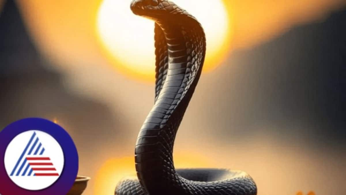 Nag Panchami 2024 what is the significance of Nagapanchami festival in india rav