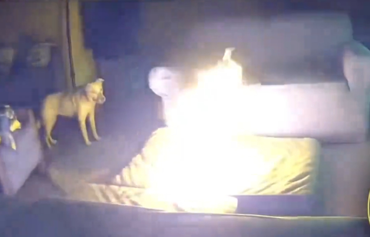 Pet dog set house fire after chew lithium ion battery in America ckm