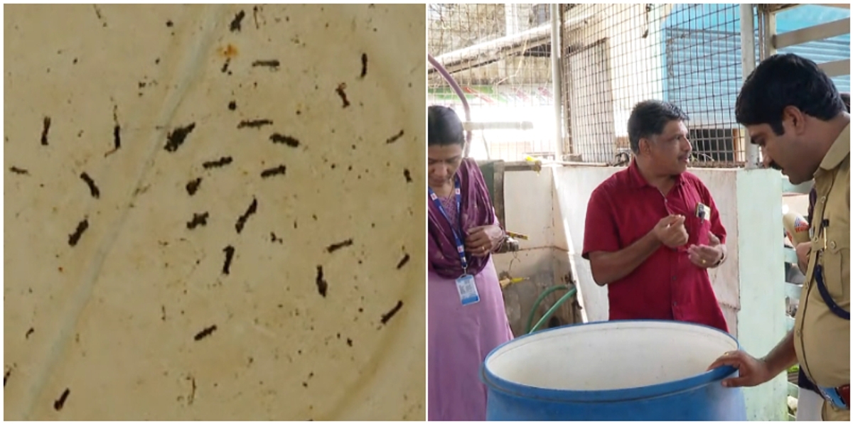 insects worms found In the water on the stove to make tea milma booth closed