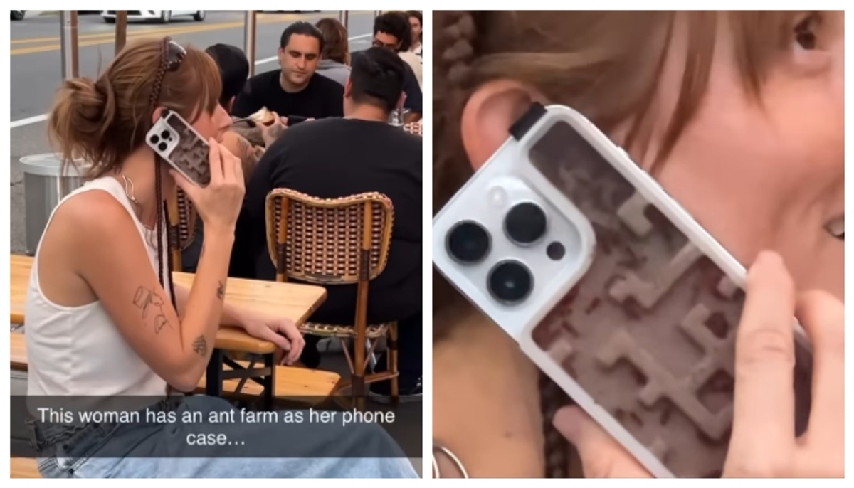 viral video Social media's reaction against a young woman who put a live ant colony inside a mobile cover 