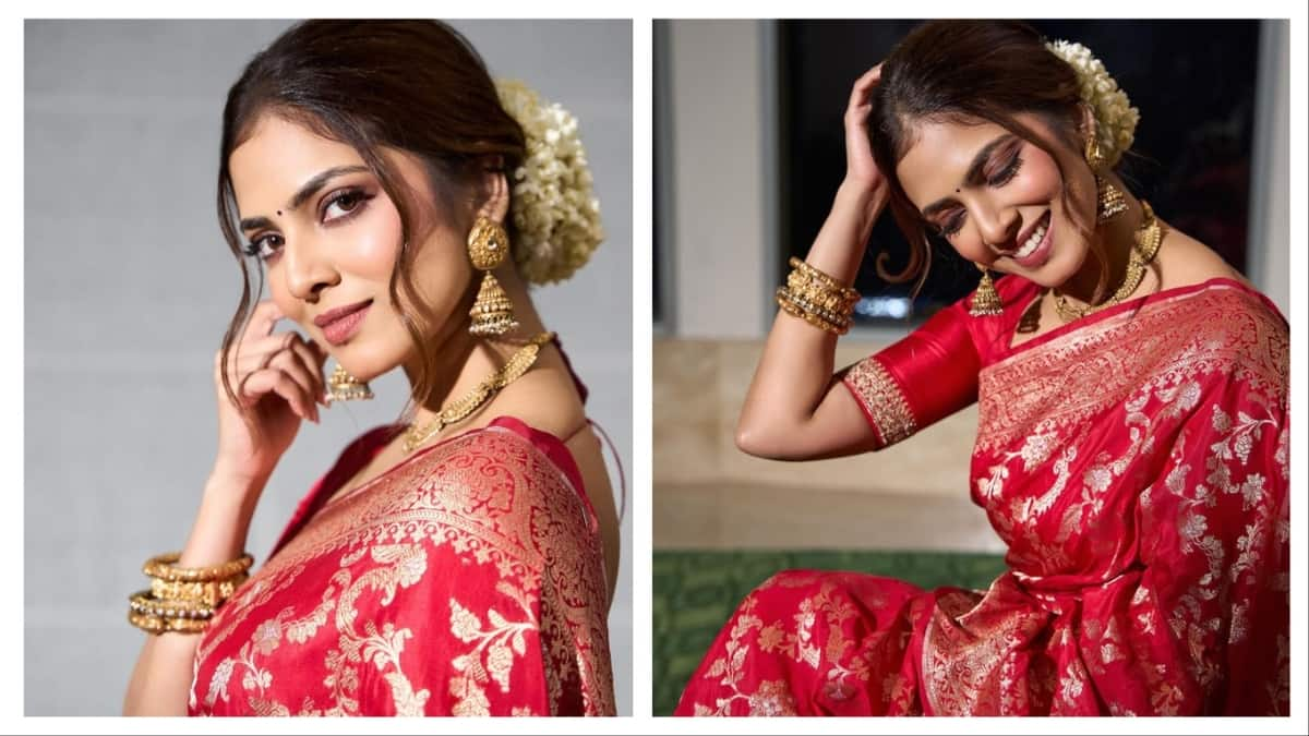 Malavika Mohanan Pattu Saree Traditional look Photos mma