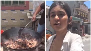 Viral Video: Indian influencer captures dog meat being sold publicly in China [WATCH] NTI