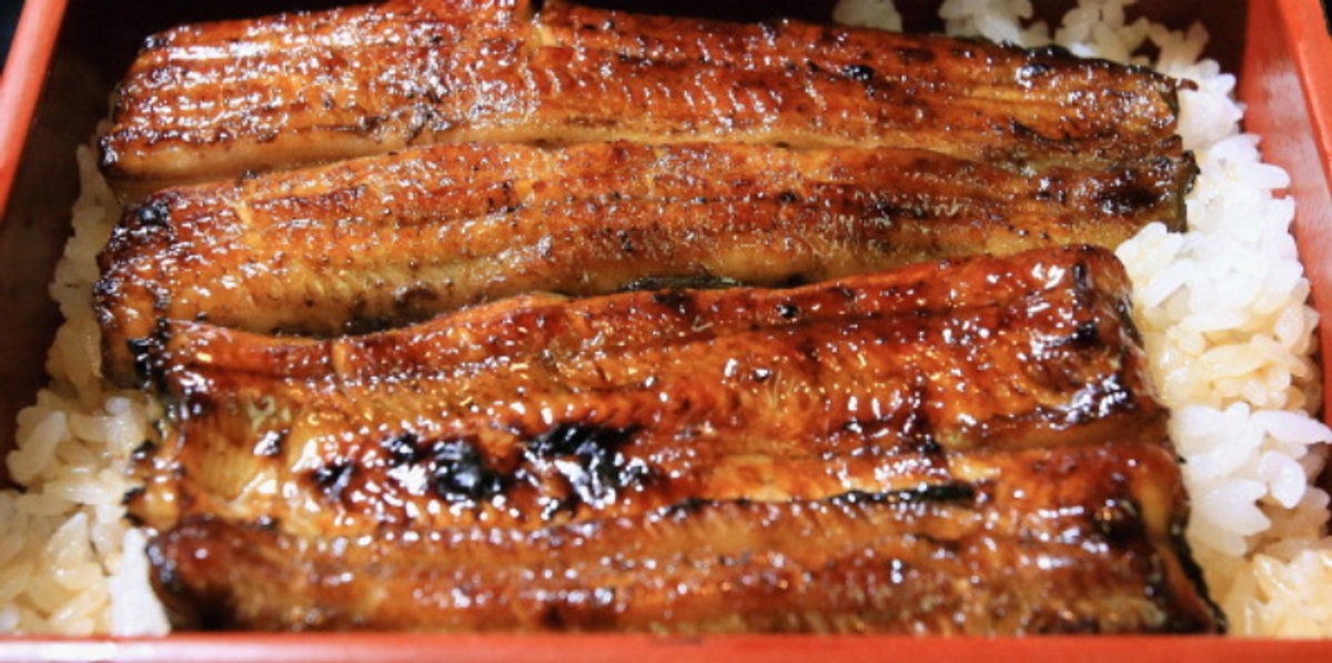 90 year old women dies after eating traditional grilled eel more than 150 hospitalized in japan 