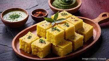 Celebrate Independence Day 2024 with this easy and delicious Dhokla recipe iwh