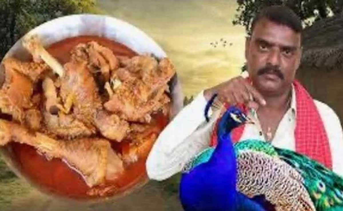 Traditional Peacock curry recipe lands Telangana YouTuber in soup, faces Wildlife Protection Act charges (WATCH) snt