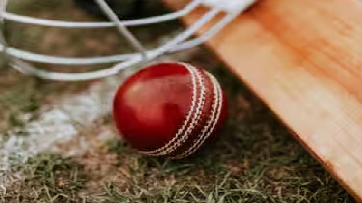 cricket