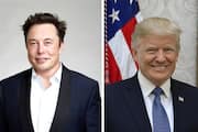 What is DDoS attack? Elon Musk confirms it disrupted much-awaited interview with Donald Trump vkp