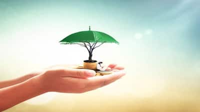 सरकारी स्कीम्स: LIC की इस खास स्कीम में सिर्फ 5000 रुपये में मिलेगा 50 लाख का कवर