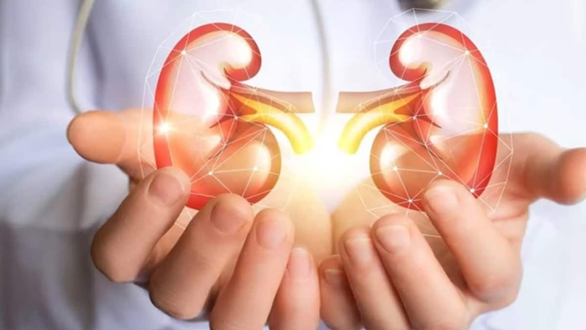 How to keep your kidneys naturally healthy in tamil Rya