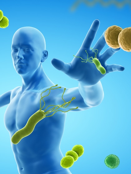 Boosts immunity