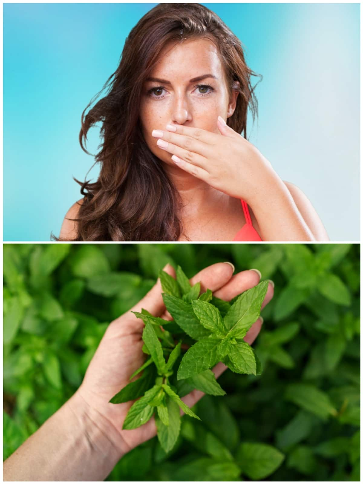 Mint to clove: 5 Herbs to get rid of bad breath naturally RTM 