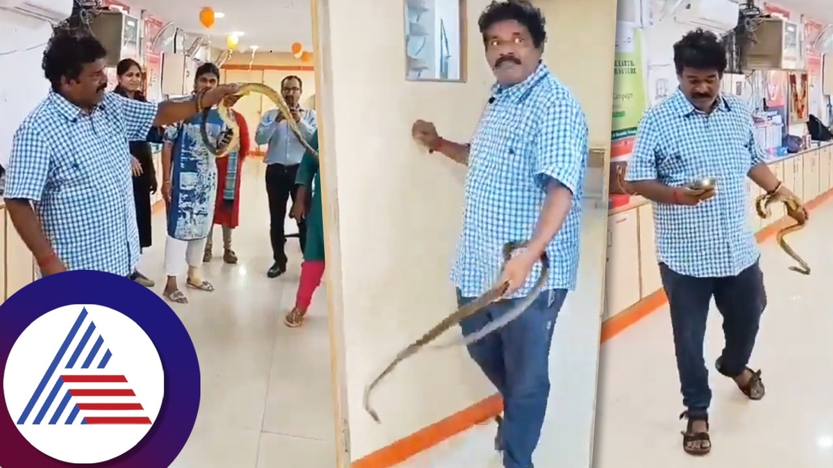 Man catches snake with bare hands in bank of baroda branch visakhapatnam ckm