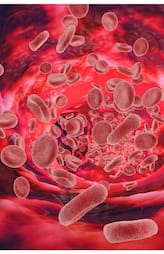foods for increase hemoglobin level 
