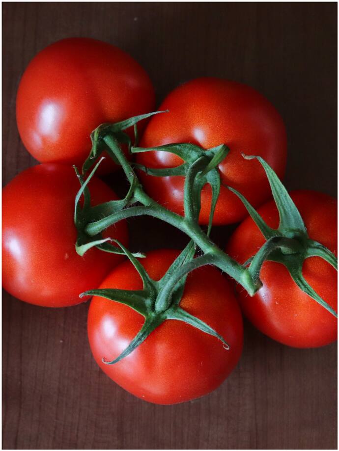 Tomato