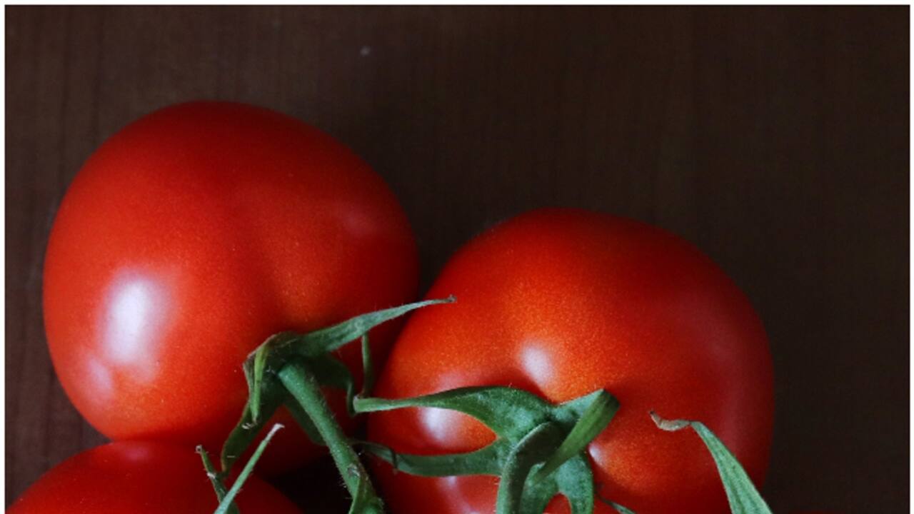 Tomato