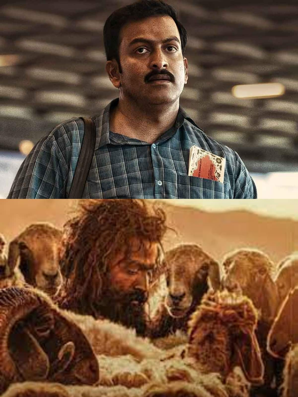 Prithviraj Sukumaran 'Aadujeevitham-The Goat Life' dominates 54th Kerala State Film Awards anr