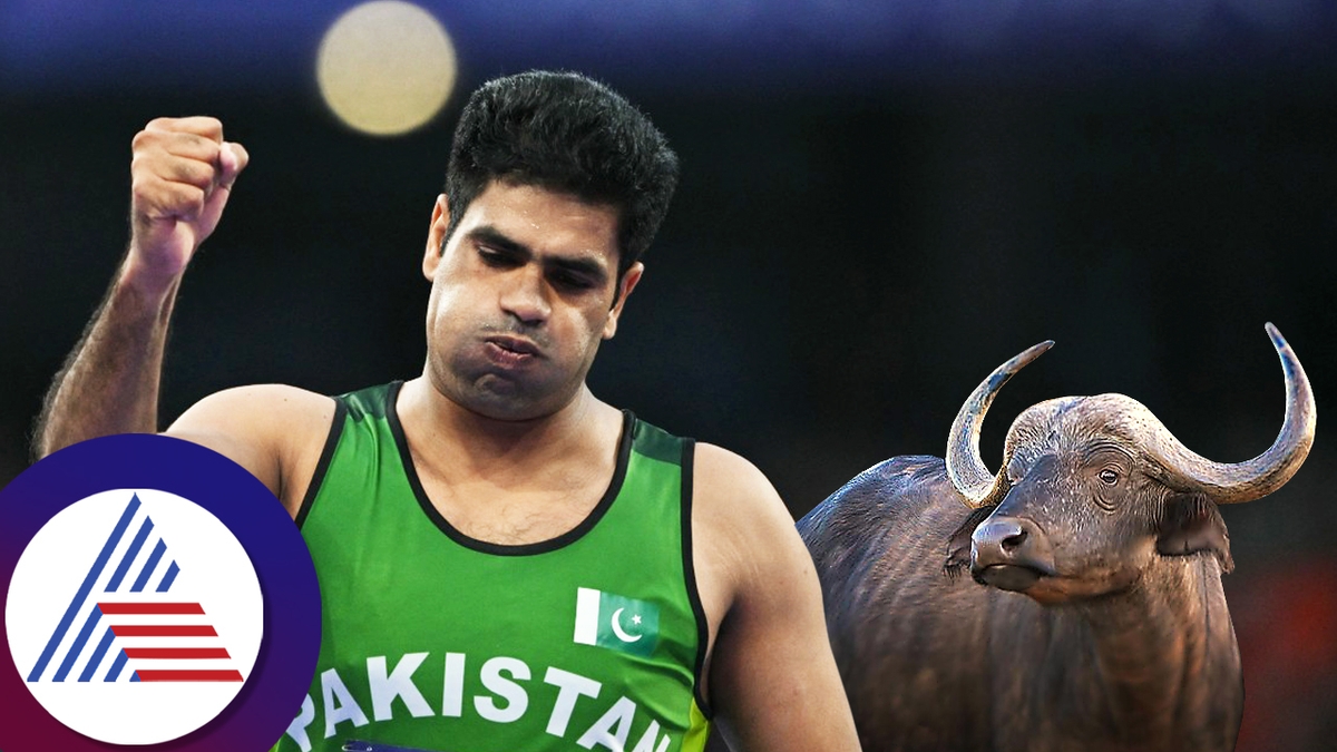 Pakistan Javelin Throw star Arshad Nadeem hilariously asks for land instead of buffalo from father in law kvn