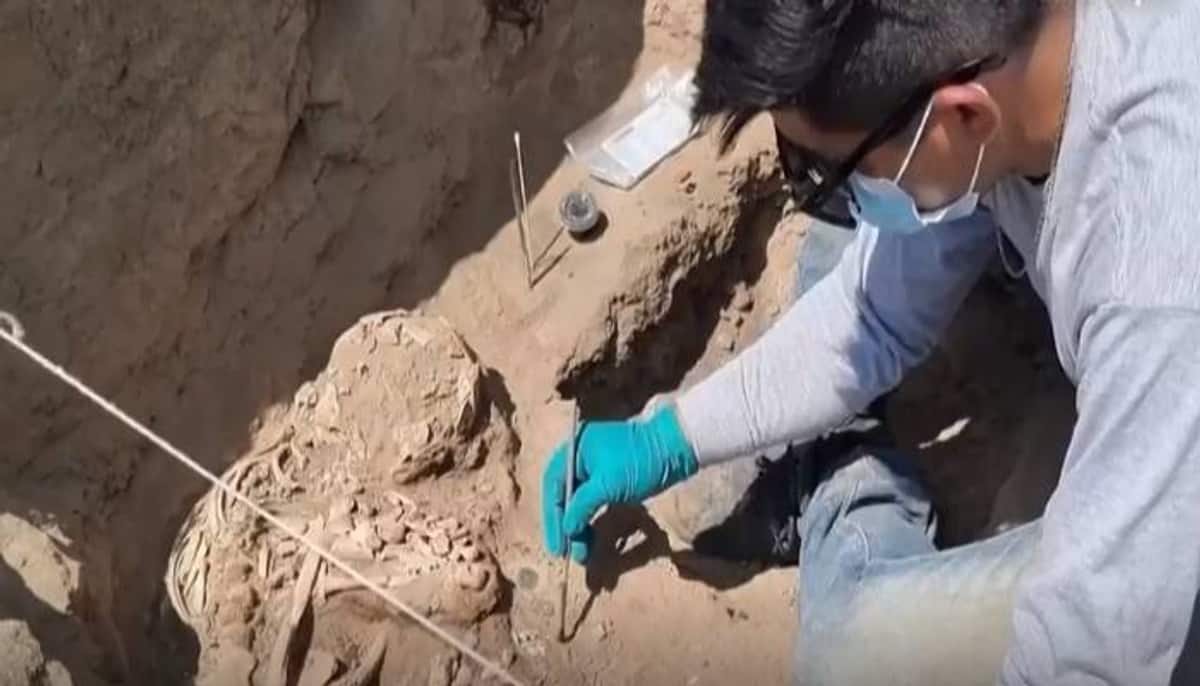 more than 3000 year old remains found in peru 